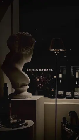 mùa thu lá vàng rơi, đông sang anh nhớ em..                                                                   #present #tamtrang #xuhuong #xh #fyp 