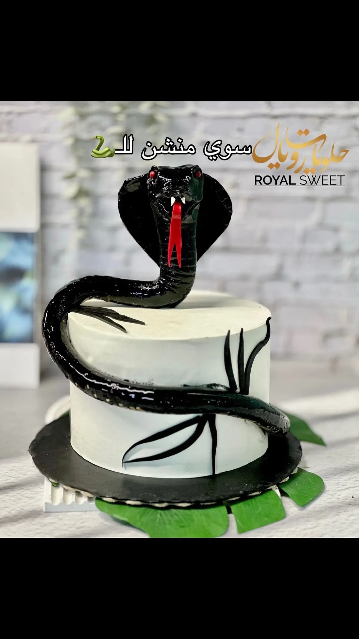 #منشن لل #🐍 #حيه #الحية #عيد_ميلاد #اكسبلور #ضحك #جود_الصالح اسم الاغنيه في #التعليق 🤣💜