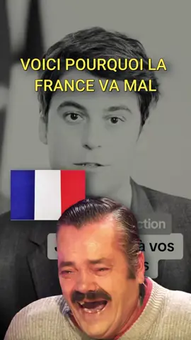 La France Va Mal #risitas #issou #kebab #attal #macron #president #gouvernement #france #wtf #troll