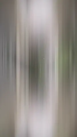 #CapCut đền hùng có ai gặp mềnh không nhỉ 🤭🤭🤭