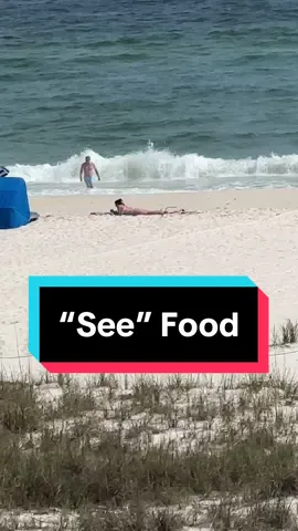 “See” Food #fyp #funny #funnyvideo #springbreak #funnyvideos 