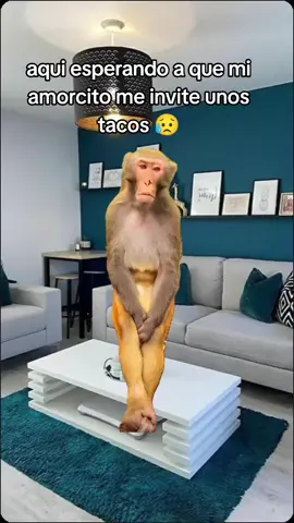 #Meme #MemeCut #CapCut quiero taquitos 😔 #esposos #tacosalpastor #amorcito #miesposo #tristerealidad #🌮 #antojos 