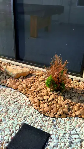 🌟 Final reveal of my home garden transformation! 🌿 We've added a special touch by applying glue to the stones to keep them in place and strategically placing larger rocks for added flair. I used four different types of stones in this project to create a unique look. Swipe to see the final result and let me know what you think! Please follow me for show all my projects, like how i build my patio cover, epoxy floor, screens and more! #gardentransformation #HomeProject #DIY #StoneDecor #garden #lamdscaping 