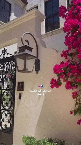 هو اهلي وكل حبايبي، مش حبيب وخلاص 💗 #fyp #رومانسي #music #fypシ #اليسا #elissa 