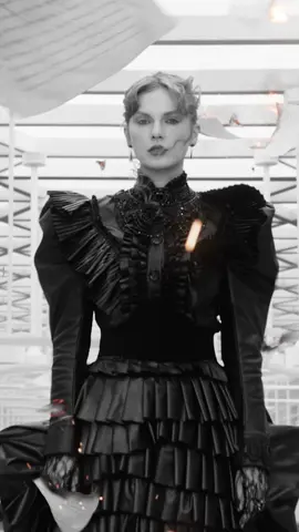 At this hearing, I stand before my fellow members of The Tortured Poets Department with a summary of my findings.  Album tonight.  Fortnight music video tomorrow at 8pm et.