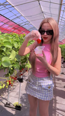 Bé đi hái dâu 🍓#japan #huyenbaby 