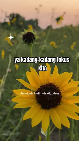 Sikap istri terhadap suami menurut ajaran islam, lihat sisi baik nya #ustadzahhalimahalaydrus #fyp #motivasiislam #lewatberanda #hijrahyuk
