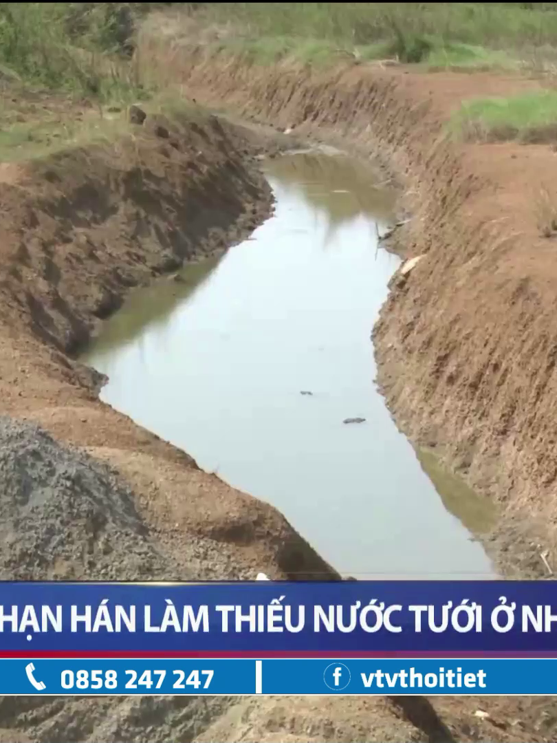 Hạn hán làm thiếu nước tưới ở nhiều địa phương | VTVWDB