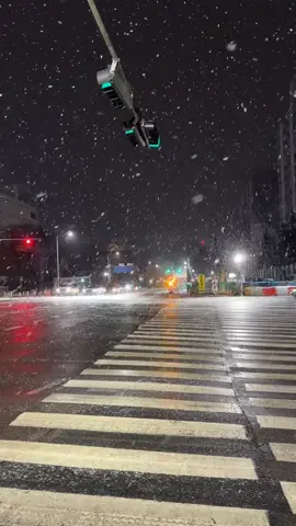 #snow #snowfall #korea #southkorea #calm #suwon #night #road 