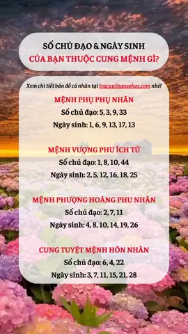 Số chủ đạo và ngày sinh của bạn thuộc cũng mệnh gì #thansohoc #LearnOnTikTok #xuhuong 