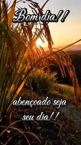 Bom dia!! #Deus #bíblia #versículos #fé #gratidão #oração #bomdia 