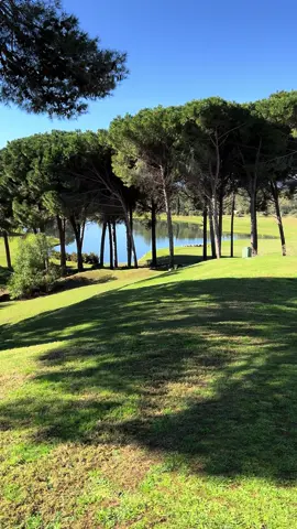 #fy #tunisia🇹🇳 #golf #fypシ゚viral #fypage 