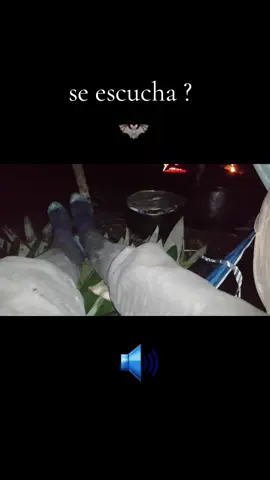 Sonidos de la noche. 🦇 Acampamos en la selva del CUYABENO 🍃 #cuyabeno #amazonia 