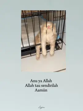do'a yang kemaren ya Allah 🤲 #quotesislamilucu #titisannuaiman #indiasongs #bismillahfyp #fyp #fyppppppppppppppppppppppp
