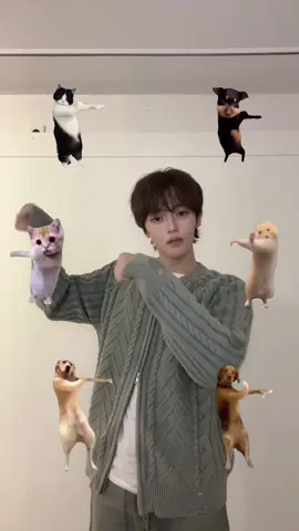 뽀득뽀득뽀득뽀득