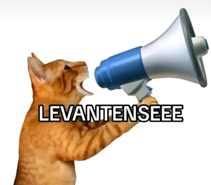 Try this Ringtone guys #Alarm #Ringtone #Levantensee #cat