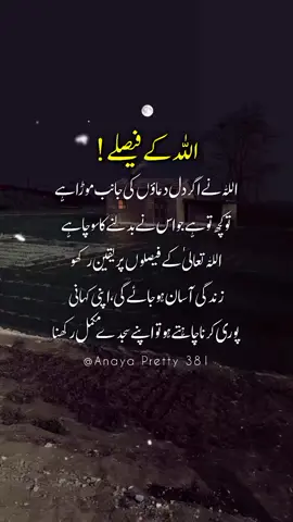 Quotes About Allah | Islamic Urdu Quotes  #newstatus  #watsappstatus  #quotesaboutallah #islamicstatus  #aqwalezareen  #urdulovers  #tiktokstatus  #anayapretty381 