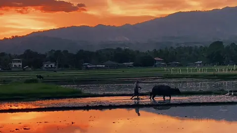 Farmers Advocacy Video#farmers #farmer #farmersmarket #follow 