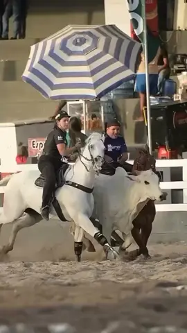 @Dayane Pereira 🏆 #dayanepereira #vaquejada #vaqueira #vaqueirama #nordeste #viralvideo #status #flips #sertao #cavalos #x1 #x1devaquejada 