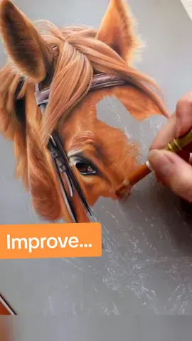 Always try to do better... 😊 Online courses : www.skyzune-art-academy.com Site: www.skyzune-art.com  #skyzune  #art #artist #artwork #fineart #drawing #pastel #drawingmaster #bestartist #animaldrawing #animalpainting #animalart #animalartwork #animalartist #animals #horselovers #horse #horseart #horsedrawing #horseportrait #horsepainting #equineart #equinartist #equestrian #horseriding #bestanimalartist #besthorseart #animalartist #dessincheval #pasteltutorial 