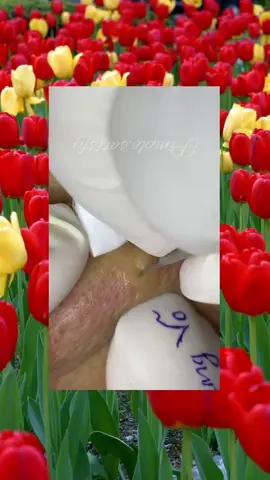 #satisfying #satisfyingvideo #clean #cleantok #cleaning