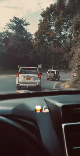 Dario Gomez | Adios A La Vida #viernes #findesemana #colombia #norteñas #musica #letras #popular #pabeberhp🍻🥃 