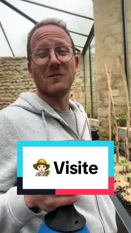 Quelle chance d’avoir une serre et de profiter de son potager même quand il fait froid dehors. Allez, c’est parti, il est temps de vous faire visiter ma serre ! 🧑🏻‍🌾🌱#potager #jardin #serre #permaculture #visite #serretour #semis #jardinbio #permaculturefrance #potagerbio #printemps #normandie