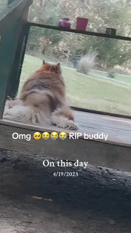 #onthisday 