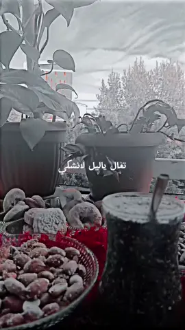 #تعال_ياليل_لانشكي_بعدهم_🖤🥺  #اكسبلورexplore❥🕊❣️تصميمي🔗🎶💔 #tiktoker#تصويري📸 