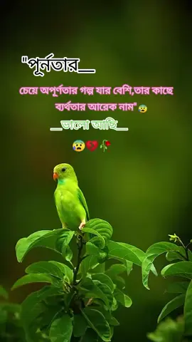 # তুমি ভালো থেকো নিজের প্রতি যত্ন নিও #টিকটক# বাংলাদেশ #সবাই একটু সাপোর্ট করবেন প্লিজ 