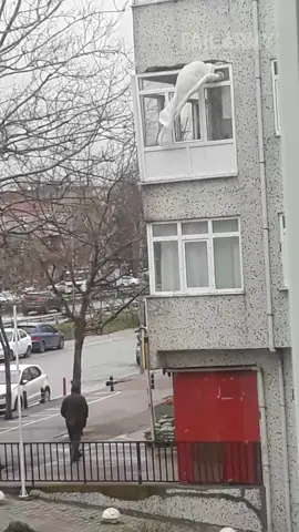 wind, ow 💨🪟 #weather #wind #fail