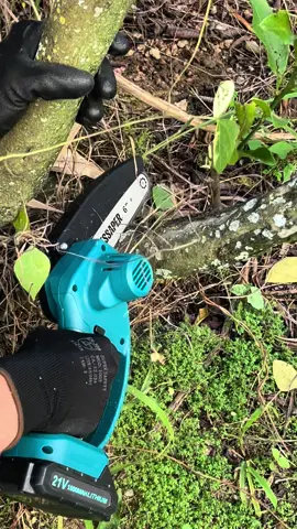 Eletrosserra a Bateria com sabre de 6 polegadas TSEL6P-2B Garanta praticidade nos serviços de jardinagem!🌳🪵 #eletrosserra #tssaper #motosserra #jardinagem #ferramentas 