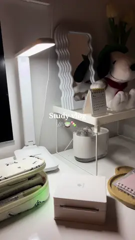 💗🖇️ #studytok #aesthetic #vanillagirl #cute #fyp #videodiary #minimalist #quietlife #pinterest #minivlog #study #school 
