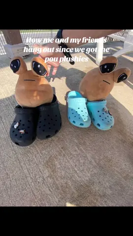 Have you got yours yet? It’s linked💩 #pou #pouplush #pouapp #plushies #cuddlytoy #funny #meme 
