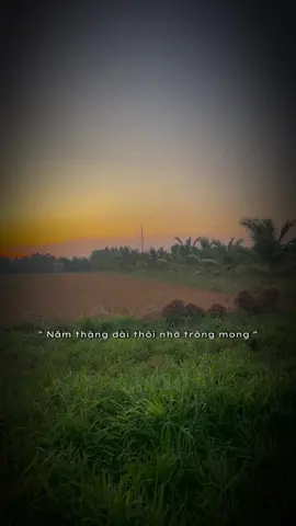 Theo em về Bến Tre - Như Ngọc x Mii Remix. Đường chiều bờ đê, hoàng hôn tím cả đường về…#theoemvebentre #mientay #xuhuong 