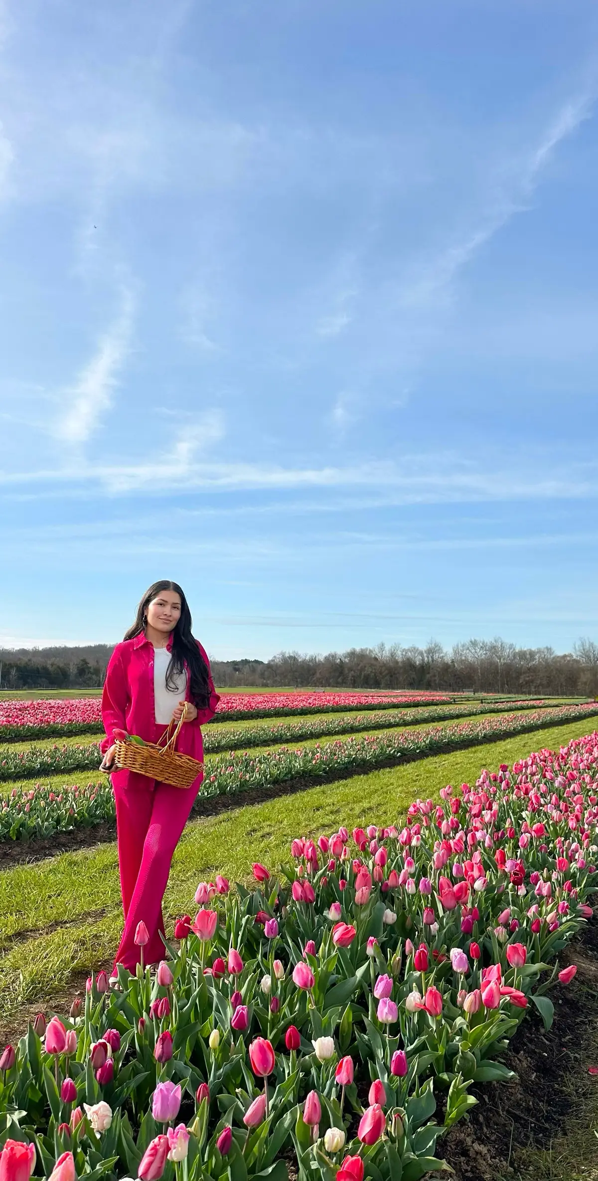 #fyp #fypツ #foryou #foryoupage #tulip #tulips #tulipseason #tulipan #tulipanes #tulipanes🌷  #tulipfestival #tulipfield #tulipfields #pinktulips #orangetulips #redtulips #whitetulips #purpletulips #tulipgirl #tuliplover #beautifulplaces #bucketlist #PlacesToVisit #virginia #burnsidefarms #viral #pictures #natureathome #naturevibes #naturaleza #tulips #rain #campodetulipanes #lugares #spring #springseason #thingstodo #primavera #pink 