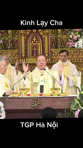 Giáo phận các bạn còn hát không #conggiaovietnam⛪ #catholic #catholictiktok #xuhuongtiktok #gioitreconggiao #giaophanbuichu #tonggiaophanhanoi #tonggiaophansaigon 