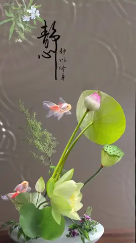 Bình yên đến từ bên trong. Đừng tìm nó bên ngoài. Tâm tịnh để tu thân #phatphapnhiemmau #phatphap #hinhnendong #tiktokflashup #vouu #xuhuong #fyp #hinhnendienthoai 