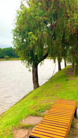 Đà Lạt một chiều cô đơn… #canhdepquanhta #canhdepchill #xuhuong #binhyen #dalat #chill #thugian #alone #codon  #hoxuanhuong #hoxuanhuongdalat #dalat  