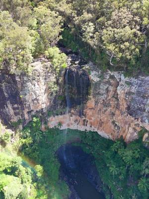 The Gondwana Rainforests are the most extensive area of subtropical rainforest in the world  #falls #rainforest #australia #foryou #pourtoi #pt #fy #fyppppppppppppppppppppppp #springbrooknationalpark #drone #djimini4pro 