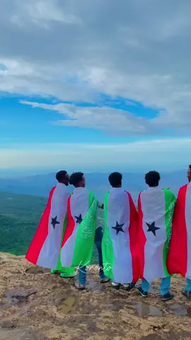 #fypシ゚viral #fouryoupage #fou #somalitiktok #zanaag_cerigapo           Daallo⛰️🌲💚❤️🤍