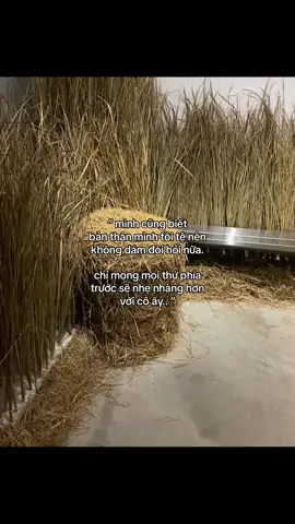 #nhhh2905 #xuhuong #xuhuongtiktok #xh #fyp 