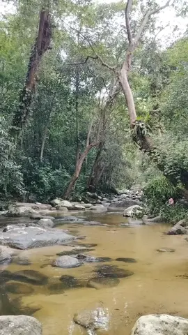 Hutan lipur Ulu Kenas K.Kangsar #tiktok #viraltiktok #viralvideo #viral #pageforyou #page #fyp #fypシ #pypシ #tenang #tenangisgood #life #kehidupan #tiktokmalaysia #tiktokindonesia #sungai #hutan #kedamaian #hutanlipurulukenas #kualakangsar 