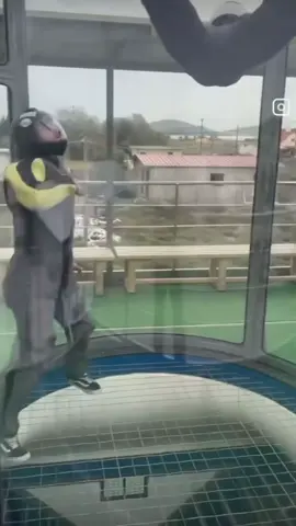 Flying Doggo… funnydogs #funnydogs #funnyanimals #funnymemes #foryoupage #fyp #viral #viralvideo #clips #clipped #trending #fypシ゚viral #funnymoments #cuteanimals #funymemes 