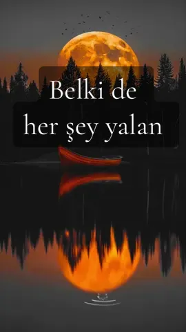 Belki de her şey yalan 