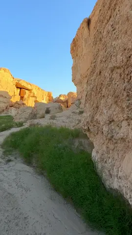 سجل معنا واصنع الذكريات التي لا تنسى في رحلة وادي المتاهة حيث تتمتع جودة بسلسة جبال ووديان وتكوينات صخرية جميلة وخلابة وتعتبر من أجمل الأماكن البريه في المنطقة الشرقية  المغامرة مناسبة للجميع العمر فوق 18 سنة الرحلة شاملة : مرشد هايكنق المواصلات السناك والمشروبات وجبة عشاء إسعافات الاولية الادوات المطلوبة : ملابس هايكنق او ملابس رياضية حذاء مشي جبلي أو رياضي حقيبة ظهر صغيرة  للتفاصيل والحجز الرجاء زيارة موقعنا الرابط في البايو