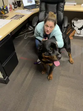 One if my adopted babies. 