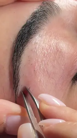 So satisfying 😮‍💨 #fyp #foryou #browtok #brows #eyebrows #plucking #satisfying #tweezing #hair #hairremoval #beauty #tweezers 