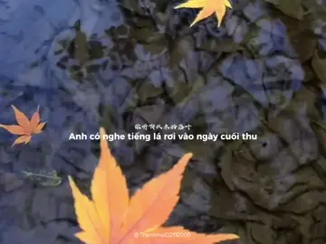 《 Đông Miên 》 2023 • Sẽ không ai đứng đó đợi anh mãi ##nhactrungquoc##nhactrung##lyric##dongmien2023##trungquoc##nhac##edit##thanhmai02112005