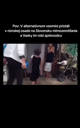 #slovakia #fyp #cz #meme 